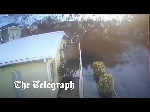 Mystery as huge flock of birds suddenly drops dead mid-flight