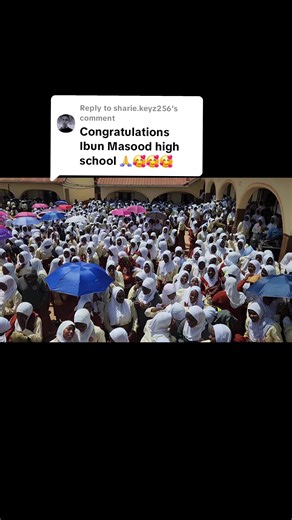 Uncovering UACE Insights with Ibun Masood