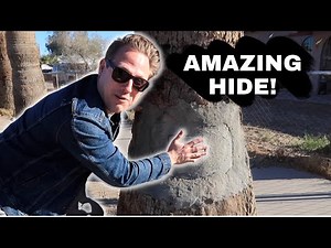 I'VE NEVER FOUND A GEOCACHE HIDDEN LIKE THIS BEFORE! (April 22' Geocaching Challenge)