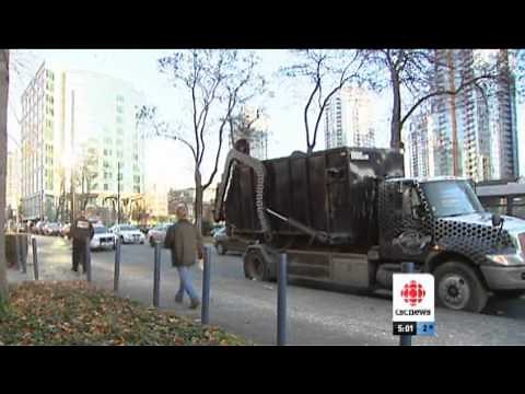 Bear in the City | CBC
