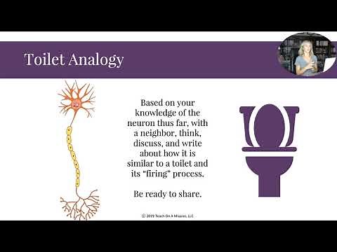 Neuron Flipped Notes for AP Psychology by Mandy Rice