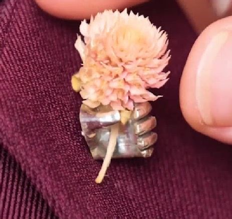 4.4M views · 14K reactions | Tiny hand-shaped craft which is multi-functional! | 5-Minute Crafts | Facebook