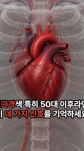 심근경색｜꼭 알아야 할 위험 신호 4가지 #심근경색 #심근경색증상 #심근경색전조증상 #심장질환 #심장건강 #가슴통증 #흉통