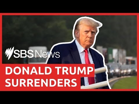 Tops, posters and caps: Divided US adds Donald Trump mugshot merchandise to cart