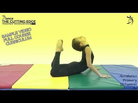 Preschool Tumbling Curriculum (Ages 3–5) | DTCE