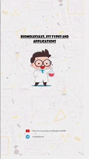 || Chemistry Investigatory Project on Biomolecules, It's Types and Applications || Class 12 ||