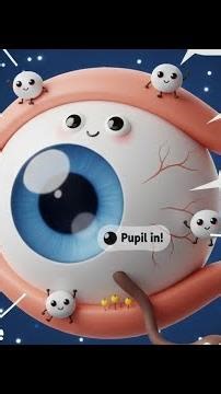 Light & Vision: The Complete Class 8 Guide #shorts #light # classVIII