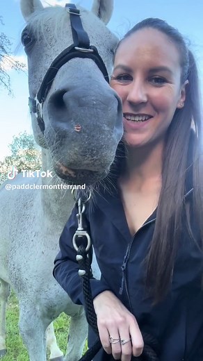 Greenguard : Nouveaux paniers et licols pour chevaux