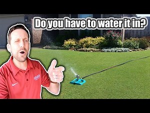 Do lawn fertilizers & weed herbicides have to be watered in? // How To Apply Fertilizer & Herbicides