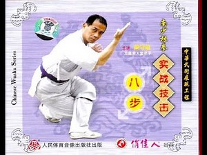 Southern Shaolin Eight Steps