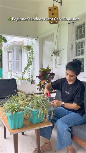 Easy Indoor Plant Care for Beginners 🪴 #shorts #gardening