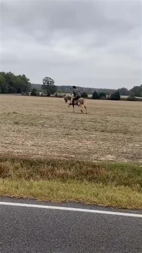Horse:1 Coats: 0 😭😭😭 When folks say we got the dream job this is the behind the scenes that they don’t see. Ain’t always rainbows and butterflies. #equine #horselife #horses #wreck | Jacob Parks