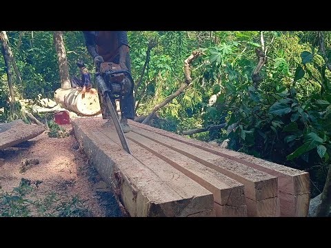 ‼️Gergaji mesin paling kuat di dunia sthil ms 802 untuk membelah kayu sengon