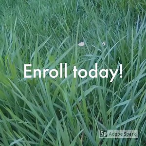 Did you know that we offer online courses? With a section on lawn care, this course goes hand-in-hand with our July 4pt Turfgrass series! Check out our Plant Pathology Basics course here: http://bit.ly/PlantPathBasics In this course, you'll learn about the cycle of plant diseases and different ways to manage those diseases. Stay tuned for this week's What Wednesday as we continue the turfgrass series! | Texas Plant Disease Diagnostic Lab