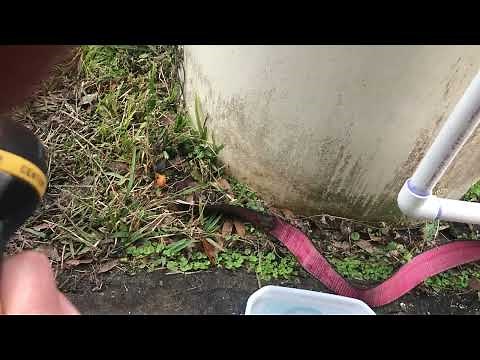 Cycle Stop Valve is a scam