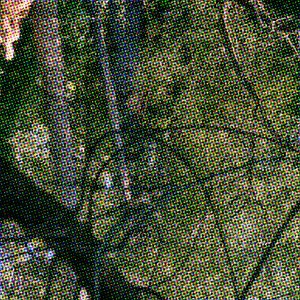 Vernal Pool Concert & Tour History  | Concert Archives