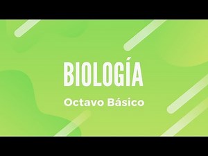 BIOLOGY | Human Body: Organization and Structure 8th Grade | Class 1