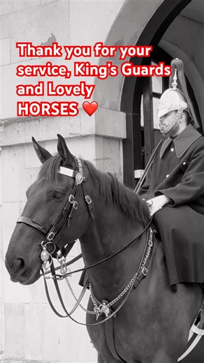 Thank you for your service, King’s Guards and Lovely HORSES ❤️ #kingsguard #horseguards