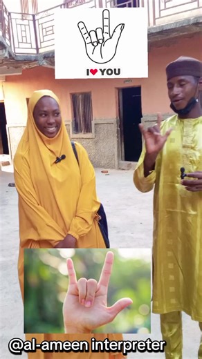 Understanding ASL: Insights from Al-Ameen Interpreter