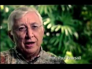 2nd Brain Found in the Heart - Trust your Gut Feelings