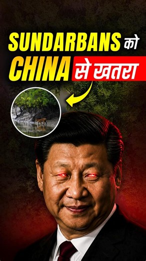 Sundarbans को China से खतरा? #india #china #bangladesh