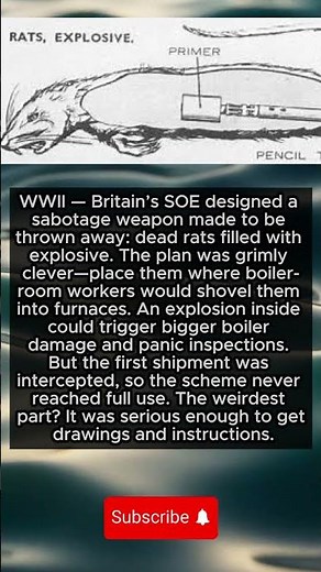The Exploding Rat Plot — SOE’s Strangest Sabotage