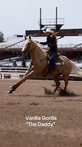 207K views · 10K reactions | Sent the veterans home to rest for a...