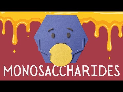 What is a monosaccharide?