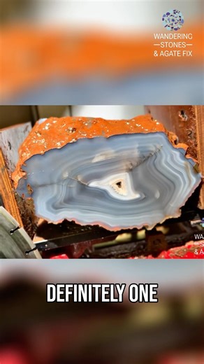 Midnight Muse: A Dark and Awesome Experience