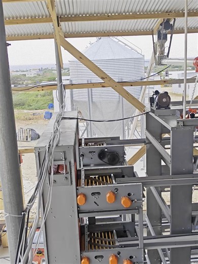 The H-type layer cage system, which can accommodate 50,000 chickens, has been installed. #layers #layercage #layerfarm #chickenfarm #chickencage #chickenfarming #chickenfarmer #cage #cagetheelephant #Algeria #Zambia #Kenya #Uganda