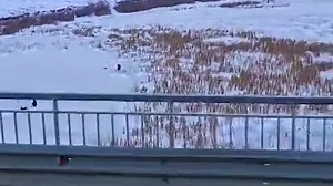 VID-20231203-WA0000.mp4