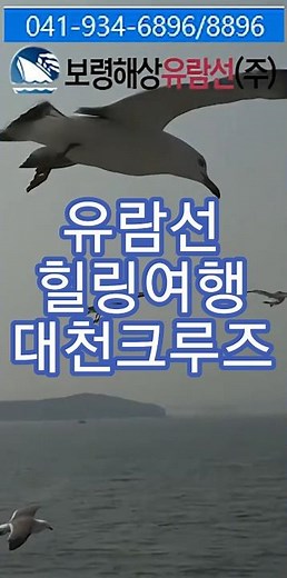 #대천항ㆍ대천크루즈유람선 가족과함께·갈매기와함께 바다힐링여행 대천크루즈 유람선 출항| 스트레스-힐링여행 한방에 풀어~! | 예약 041-934-6896/8896 #대천크루즈유람선