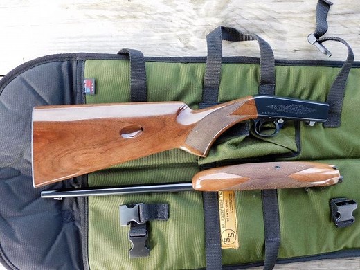 Top 5 Takedown 22 Rifles of 2023 - The Mag Life