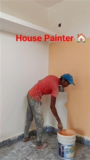 House Painter 🏠 #short#housepqibter#wallcolour