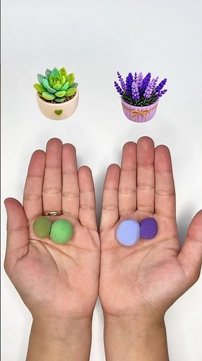 Succulent Plant 🌱 + Lavender Flower 💜 | Guess the Final Color!