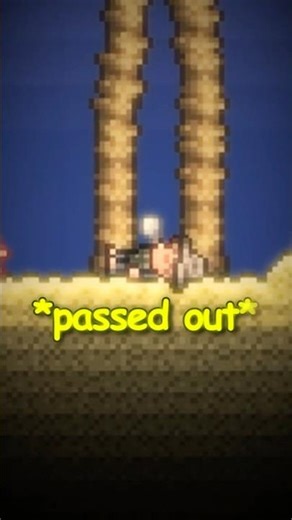 Why Terraria is the Best Game ❤️