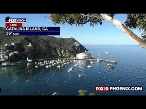 🔴LIVE WEBCAMS around the U.S.A. | Jan. 14