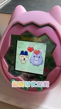 看完心情會很好！Tamagotchi Paradise的精彩可愛瞬間！太療癒的電子寵物：樂園塔麻歌子