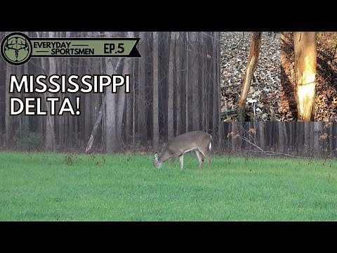 Mississippi DELTA deer hunt on public land!!