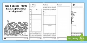Science: Plants Activity Booklet (Ages 5-6)
