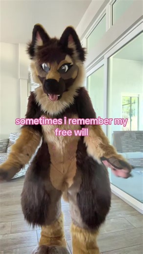 Exploring the Furry Fandom in Atlanta