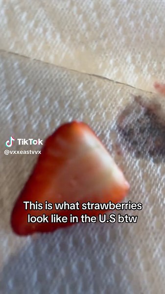 Exploring the Unique Taste of U.S. Strawberries