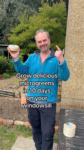 167K views · 2.7K reactions | Grow delicious, healthy microgreens on your window sill in just 10 days. I use wooden cheese boxes to grow my microgreens in, as they are the perfect size and don’t require any drainage holes as they’re porous. But you can recycle most other food containers, although you may need to add drainage holes. Microgreens are the young tender shoots and leaves of vegetables. I grew beetroot, kale, sunflowers and brocolli. | Simon Akeroyd Garden Writer | Facebook