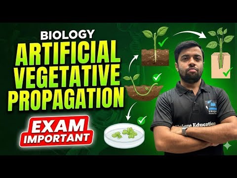 Artificial Vegetative Propagation 🌱 Class 10 Biology | Chapter Reproduction | Exam Important