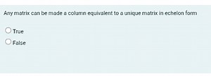 Statement:Any matrix can be made column equivalent to a uniqu... | Filo