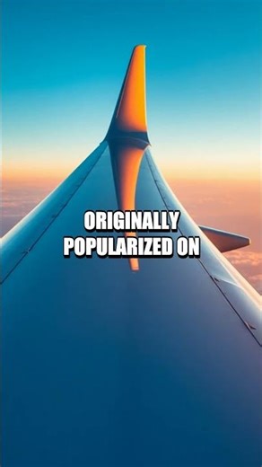 A Quiet Revolution in Flight Winglets Explained