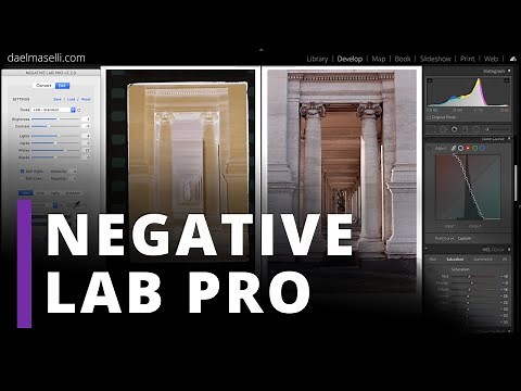 Guida al miglior software per la conversione dei negativi: Negative Lab Pro