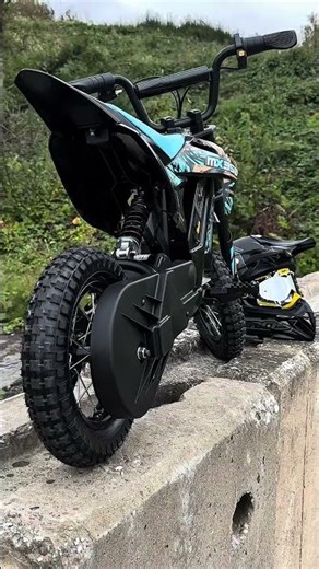 Mini Bike. Maximum Fun #funbikes #350w #ebike