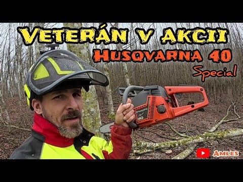 Husqvarna 40 Special | Veteran in real logging, Zetor in action, Stihl ms 261C-M, Amles