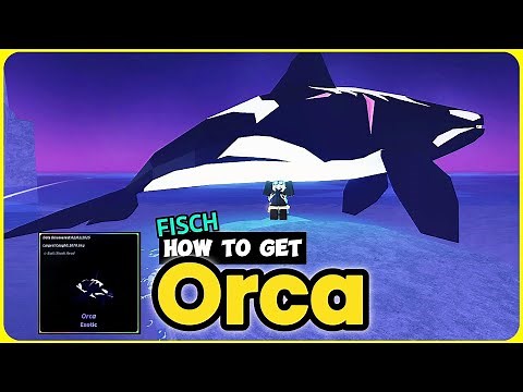 How to Catch the ORCA in Fisch (EASY Guide)